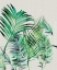 Picture of PALM LEAVES