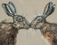 Picture of THE KISS