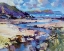 Picture of MAY SUNSHINE, POLZEATH