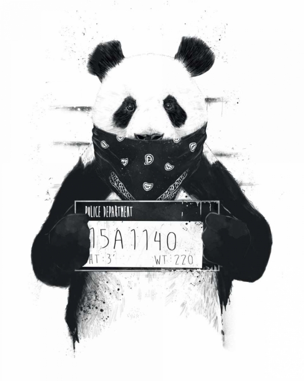 Picture of BAD PANDA