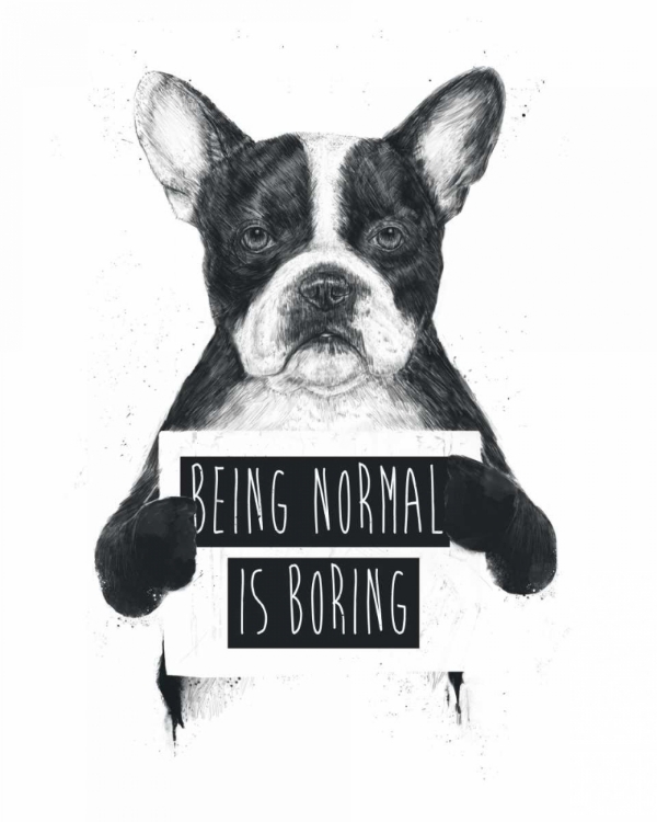 Picture of BEING NORMAL IS BORING