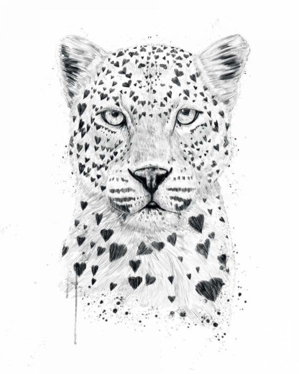 Picture of LOVELY LEOPARD