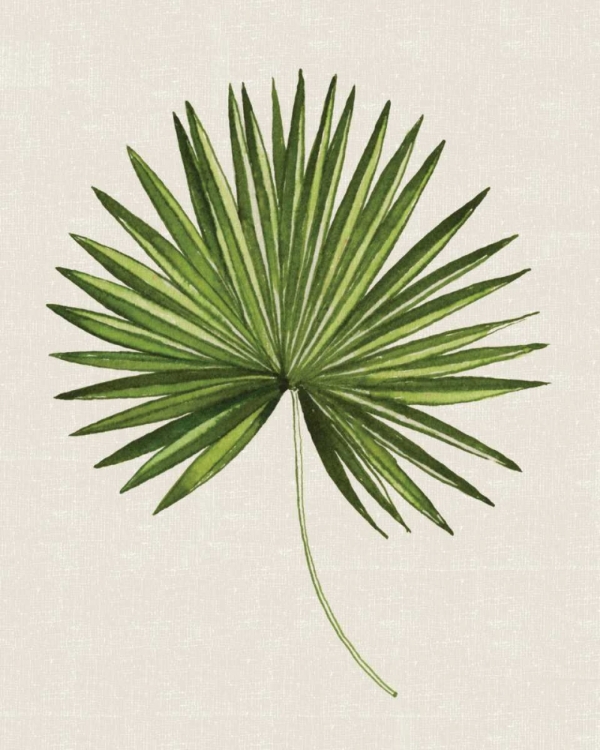 Picture of TROPICAL LEAF III