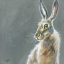 Picture of HERBERT