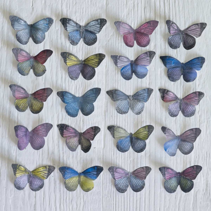 Picture of BUTTERFLY GRID