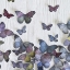 Picture of BUTTERFLY RANDOM