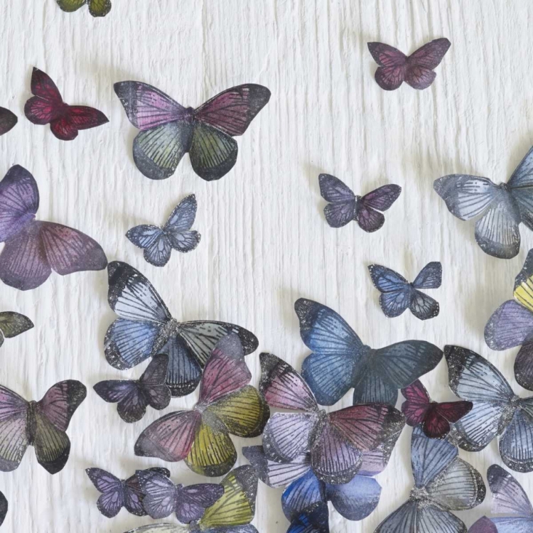 Picture of BUTTERFLY RANDOM