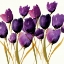 Picture of TULIPS