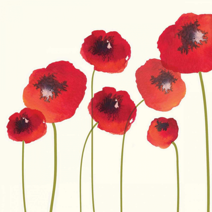 Picture of POPPIES