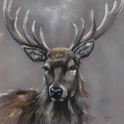 Picture of STAG