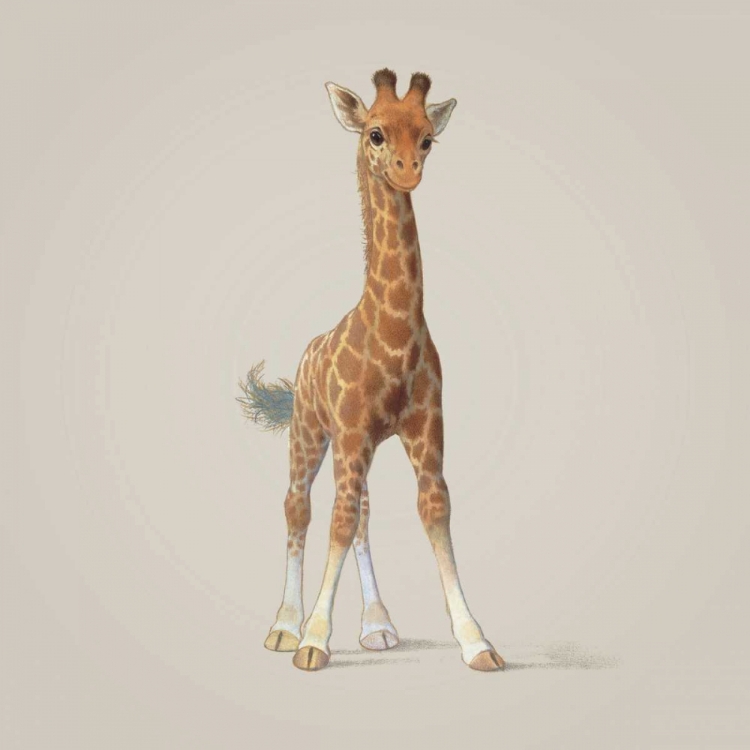 Picture of GIRAFFE