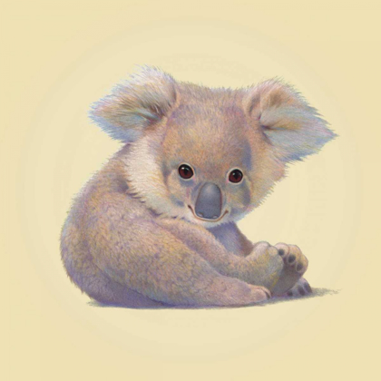 Picture of KOALA