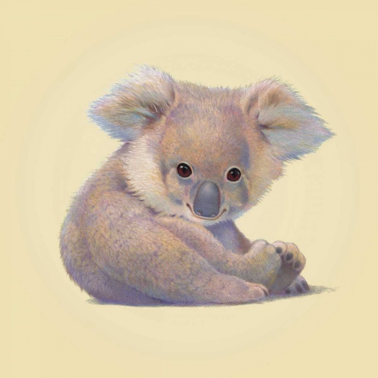 Picture of KOALA