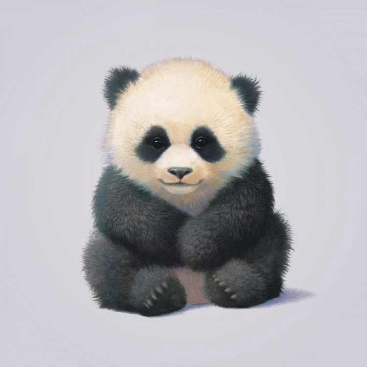 Picture of PANDA