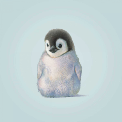 Picture of PENGUIN