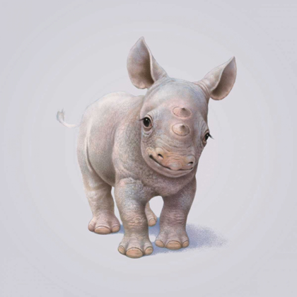 Picture of RHINO