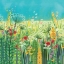 Picture of SUMMER FIELDS
