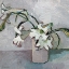 Picture of WHITE LILLIES