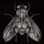 Picture of FLY