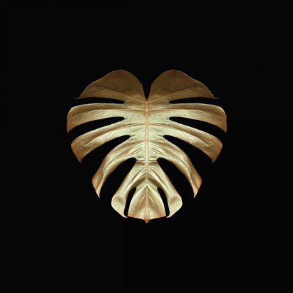 Picture of GOLD DECO MONSTERA