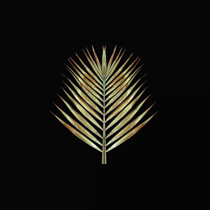 Picture of GOLD DECO PALM