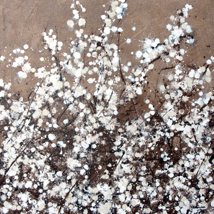 Picture of WHITE SPRING BLOSSOM