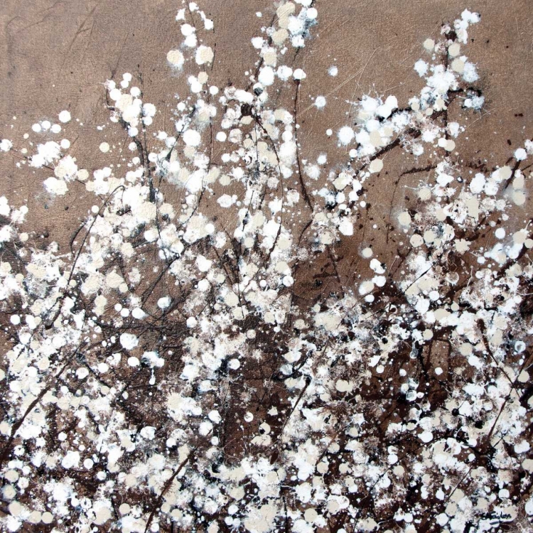 Picture of WHITE SPRING BLOSSOM
