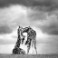 Picture of TENDERNESS