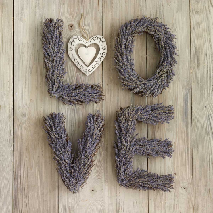 Picture of LAVENDER LOVE