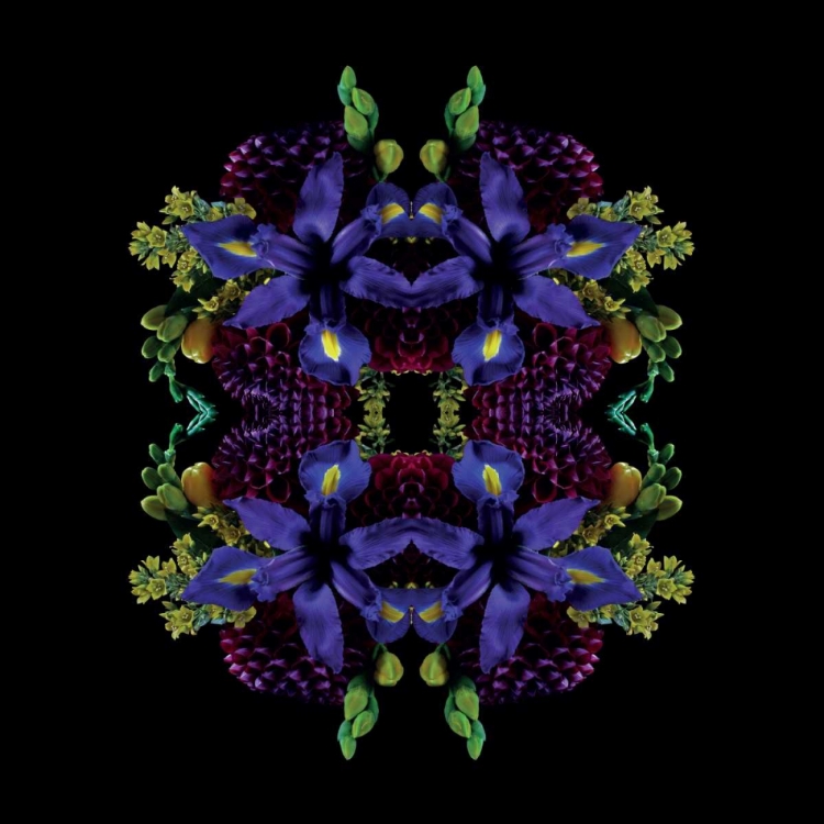 Picture of FLORA SHANGRI LA