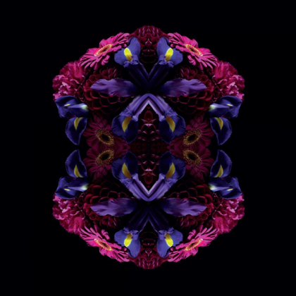 Picture of FLORAL NIRVANA