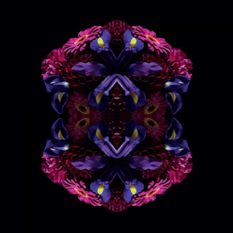 Picture of FLORAL NIRVANA