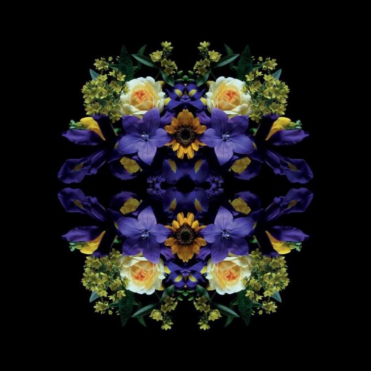 Picture of FLOWERS OF EDEN