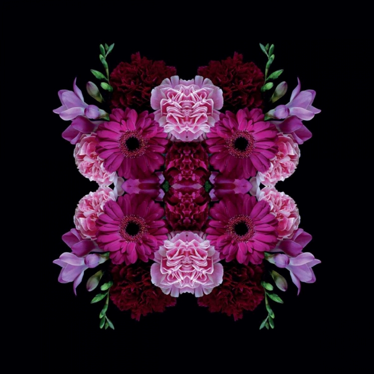 Picture of HEAVENLY BLOOMS
