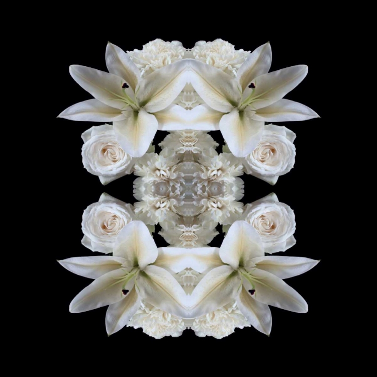 Picture of LILLIES OF THE FIELD
