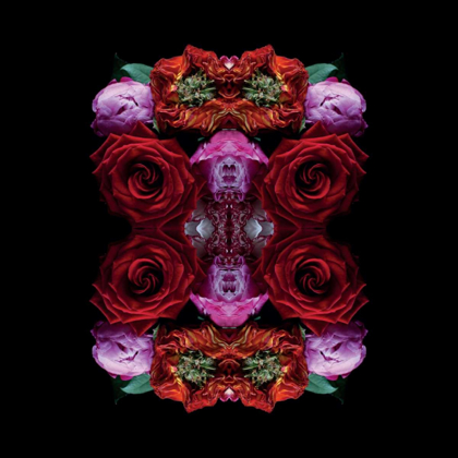 Picture of PARADISE OF PETALS