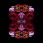 Picture of PARADISE OF PETALS