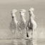 Picture of THREE WHITE HORSES