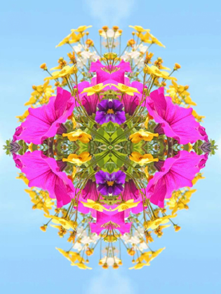 Picture of EXPLOSION OF COLOUR