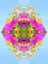 Picture of EXPLOSION OF COLOUR