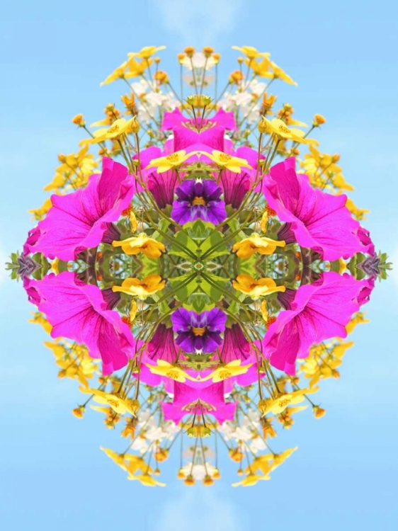 Picture of EXPLOSION OF COLOUR