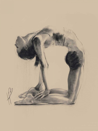 Picture of CAMEL POSE