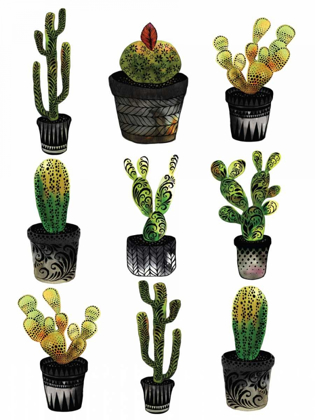 Picture of CACTI