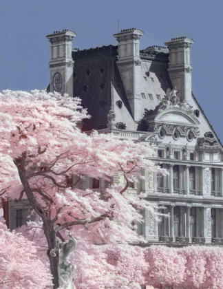 Picture of JARDIN DE TUILIERES INFRARED-PARIS