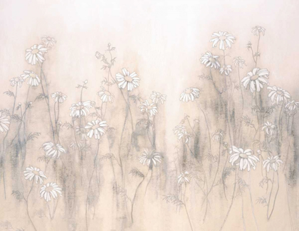 Picture of WHITE DAISIES