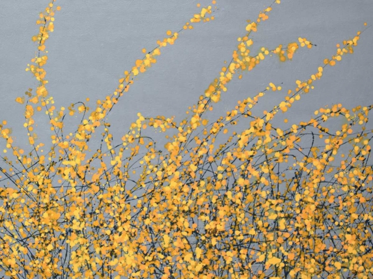 Picture of YELLOW BLOSSOM