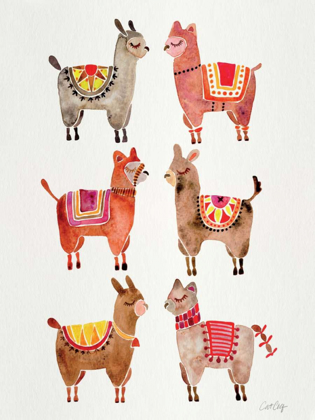 Picture of ALPACAS