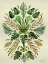 Picture of TROPICAL SYMMETRY