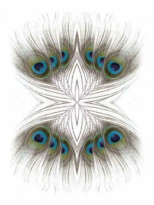 Picture of PEACOCK FEATHERS KALEIDOSCOPE