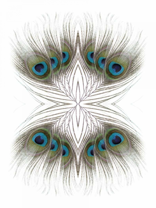 Picture of PEACOCK FEATHERS KALEIDOSCOPE